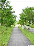 Paseo Lineal del Río Bayamón - BAYAMÓN